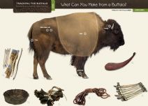 Thumbnail image of What Can you Make From a Buffalo resource