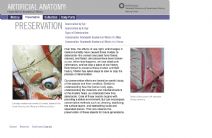 Thumbnail image of Artificial Anatomy: Preservation resource