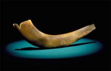 Ram's horn shofar made in Germany 
